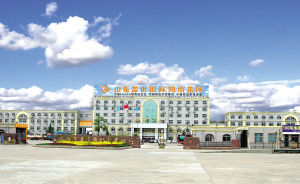 һ���ǽ���ĳ��򻯷���